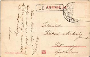 1910 Léva, Levice; Kossuth tér, Városháza, Lang központi kávéháza, Kovács Sándor üzlete, Bars megyei...