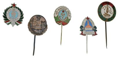 5xklf "Törzsgárda" jelvényből álló tétel, közte zománcozott darabok, benne: Földtani Kutatás, Söripar, BHG, Kő-Kavics Ipar, Villamosenergia Ipar T:AU,XF