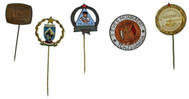 5xklf "Törzsgárda" jelvényből álló tétel, közte zománcozott darabok, benne: Május 1. Ruhagyár, Tejipar, Állatforgalom Húsipar, Állami Pincegazdaság Budafok, Szegedi Ruhagyár T:AU,XF