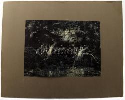 Orsós Ferenc (1879-1962): Erdőbelső. Akvarell, papír, jelzett. Kartonra kasírozva. 23×31 cm