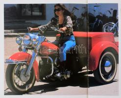 John Carol - Garry Stuart: Harley-Davidson: Die 750 er - Modelle. Schindellegi, 1996, Heel. Német ny...