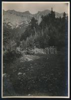 cca 1910 Brassó környéki hegyek, Erdélyi Mór (1866-1934) felvétele, a hátoldalon feliratozott fotó, 16×11,5 cm / cca 1910 Brasov (Kronstadt), mountains, vintage photo by Mór Erdélyi, 16×11,5 cm