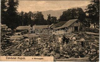 Puj, Pui (Hunyad); fűrészgyár. Adler fényirda (Szászváros) 1909. / sawmill, wood industry (gyűrődés / crease)
