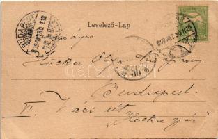 1902 Temesvár, Timisoara; városi színház. Szecessziós litho keret címerrel / theatre. Art Nouveau li...