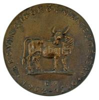 Borsos Miklós (1906-1990) 1984. "A bovin gümőkórmentesítésért 1962-1980" kétoldalas bronz ...