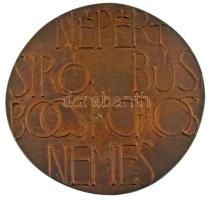 Csíkszentmihályi Róbert (1940-) 1976. "Ady Endre / Népért síró, bús, bocskoros nemes" kéto...