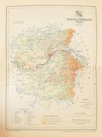 cca 1893-1896 Pallas Nagy Lexikon vármegye térképek gyűjteménye, 1 hiánnyal (Abaúj-Torna vármegye), ...