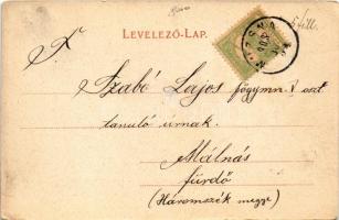 1903 Medgyes, Mediasch, Medias; Lövölde. Fritz Guggenberger kiadása / Pavillon in den Tannen-Anlagen...