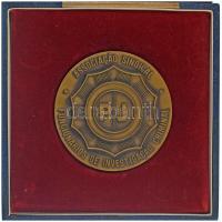 Portugália DN "PJ - Associacao Sindical Funcionarios de Investigacao Criminal" egyoldalas bronz rendőrségi plakett kissé viseltes tokban (80mm) T:AU