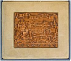 Madarassy Walter (1909-1994) 1973. "Budapest 1873-1973" egyoldalas, öntött bronz plakett dísztokban (78x101mm) T:UNC