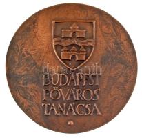 Asszonyi Tamás (1942-) 1986. "Újjáépült A Budai Sikló / Budapest Főváros Tanácsa" kétoldal...