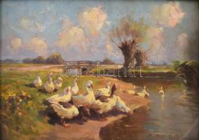 Rákosi Uitz János (1887-1972): Libaitató. Olaj, furnér. Jelzett, Üvegezett dekoratív keretben. 25x35 cm