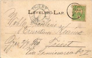 1900 Gyér, Giera; vasútállomás, gőzmozdony, vonat, Gyertyánfy Andor (Gyertyánffy) kastély, Fő utca. ...