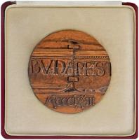 Asszonyi Tamás (1942-) 1973. "Budapest MDCCCLXXIII / 1873-1973 Pest-Buda egyesítésének emlékére...