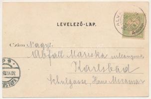 1905 Alváca, Vata de Jos (Hunyad); természetes kénes kőfürdő meleg forrás, parkrészlet / hot spring ...