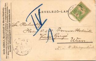 1903 Borszék, Borsec; Villacsoport, Szász villa, nyaralók. Soós kiadása. Hátoldalon Soós Károly rekl...