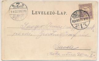 1901 Kolozsvár, Cluj; Mátyás király tér, Státus palota, Jeney, Reményik üzlete. Szecessziós fóliás h...