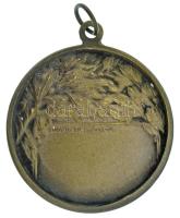 ~1930. Nagy Magyarországot ábrázoló irredenta kétoldalas bronz sport díjérem füllel, gravírozás nélk...