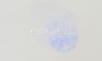 Kínai fedeles váza, kis kopással, m: 25 cm