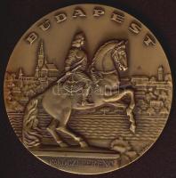 DN "Rákóczi Ferenc-Budapest" br emlékplakett T:2