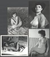 4 db akt fotó, 12×9 cm