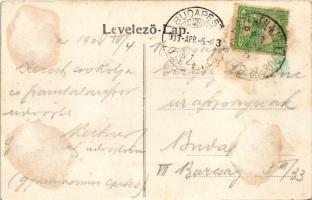 1908 Fogaras, Fagaras; Sterzing utca kastélypark részlettel, gyógyszertár. Thierfeld Dávid kiadása /...