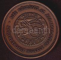 2000 "MÉE-Államalapítás ezredik évfordulója-Szent István" br emlékérem T:2