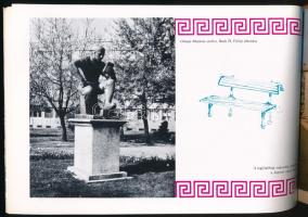 Cserjés János - Hajtun József: A Tanácsköztársaság 50. évfordulójára. Csepel 1919-1969. (Bp., 1969),...