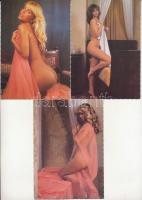 5 db MODERN erotikus meztelen hölgyek képeslap / 5 modern erotic nude women postcards