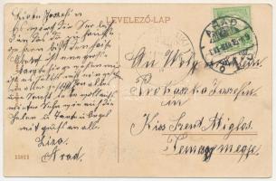 1911 Arad, Vármegyeháza. Pichler Sándor kiadása / county hall (b)