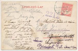 1917 Arad, Darányi János (város főorvosa) emlékszobor a Baross parkban / statue of the town's h...