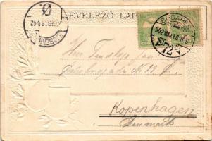 1902 Budapest, Ferenc József híd. Szecessziós, magyar címeres dombornyomott litho keret / Art Nouvea...