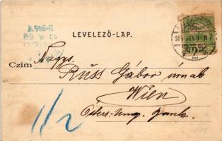 1904 Budapest XI. Kelenföld, Schaffhauser Endre vendéglője a "Szabadság harang"-hoz, étter...