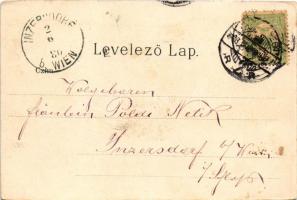 1903 Budapest I. Tabán, Várkert rakpart, gőzhajó. Art Nouveau, floral, litho (EK)