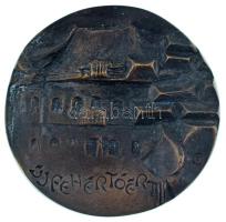 DN "Újfehértóért" egyoldalas, öntött bronz plakett (~90-91mm) T:AU