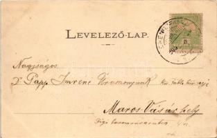 1905 Ferencfalva, Valiug; Villa Veronika, nyaraló. Ifj. Neff Károly kiadása / villa (EK)