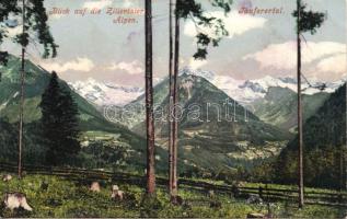 Tauferer valley (fl)