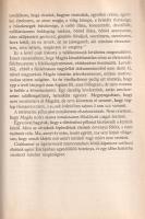 Kolozsvári Grandpierre Emil: 
Árnyak az alagútban. (Dedikált.)
Budapest, (1981). Magvető Könyvkiad...