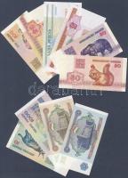 Fehéroroszország 14 klf db modern bankjegy T:I
