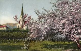 South Tyrol fruit tree