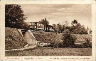 Nagyszeben, Hermannstadt, Sibiu; Viadukt der elektrischen Strassenbahn im Erlenpark / Erlen park, villamos viadukt. Verlag Emil Fischer Hofphotograph. Druck von Jos. Drotleff / park, tram viaduct (r)