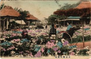 1913 Tokyo, Iris Garden at Horikiri (tear)