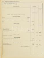Az Osztrák-Magyar Monarchia közös kiadásainak és bevételeinek előirányzata az 1898-ik évre. Mellékle...