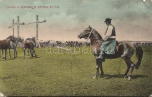 Hortobágy csikós, hármas kút (EB)