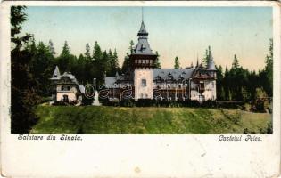 Sinaia, Szinaja; Castelul Peles / castle. H. Zeidner (worn corners)