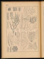 Migula, D. W.: Meeresalgen u. Armleuchter-Gewächse. Handbücher für die praktische naturwissenschaftl...