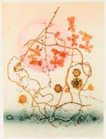 Káplár Ferenc (1937-2020): No. V/4. Növényi anyag, vegyes technika, papír. Jelezve jobbra lent. Hátoldalán címkén feliratozott. Üvegezett fakeretben. 40×30 cm