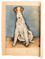 Olvashatatlan jelzéssel: Foxterrier. Színezett rézkarc, papír, foltos, lapszéli sérülésekkel, 33×27 ...