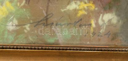 Márton Lajos (1891-1953): Budai panoráma a várral, 1924. Pasztell, papír, jelezve jobbra lent. Üvege...