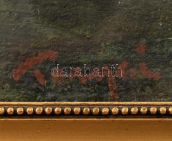 Tornyai jelzéssel: Tanya. Olaj, karton. Üvegezett fakeretben. 22x27,5 cm